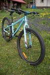 Orbea MX24 team