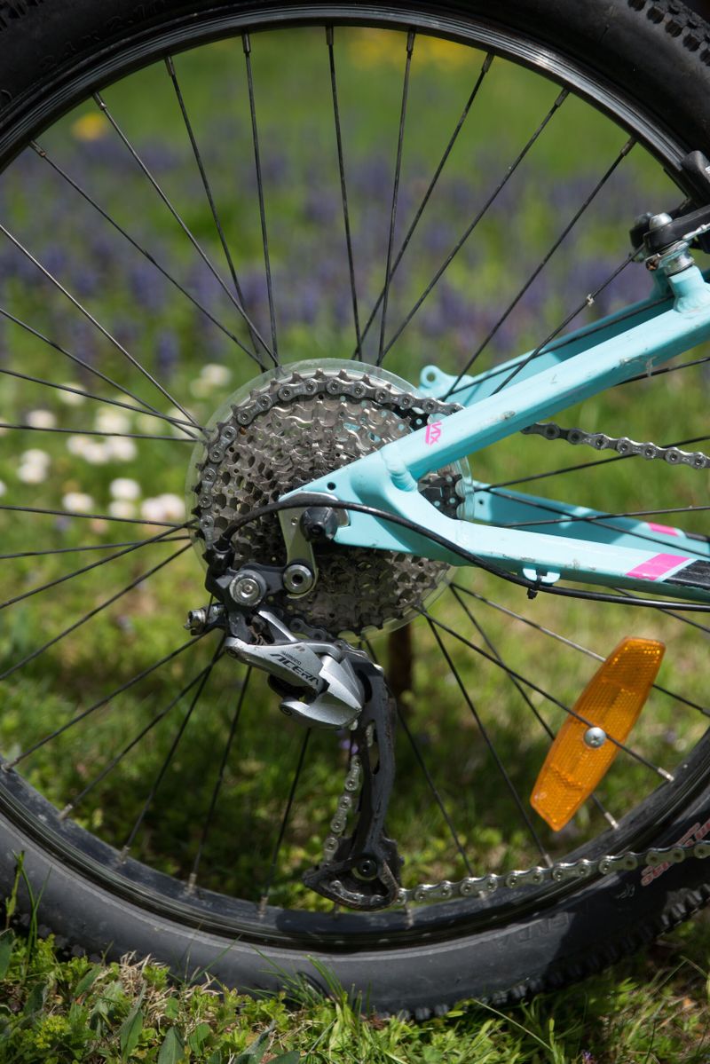 Orbea MX24 team