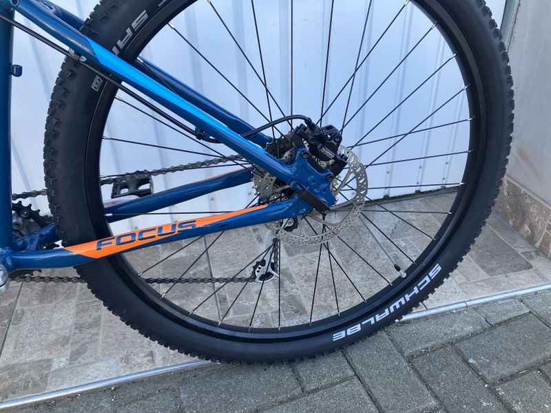 FOCUS PRO JUNIORY
