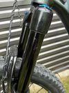 GIANT Trance X 29" 2 2021 - Balsam Green/Black, velikost M (170-180cm)