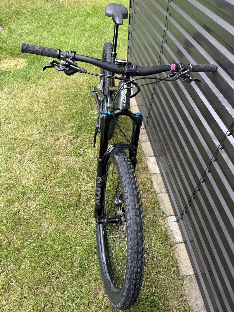 GIANT Trance X 29" 2 2021 - Balsam Green/Black, velikost M (170-180cm)