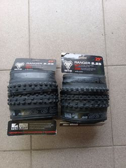 WTB Ranger 