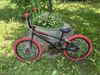 BMX Felt sector