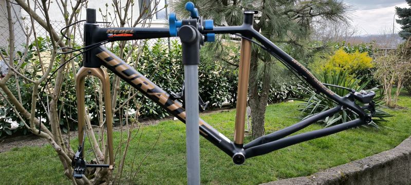 Duratec Rebel 