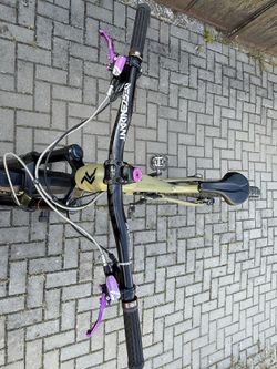 Radon Swoop Custom