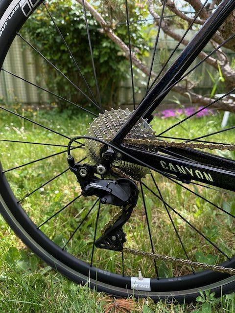 Canyon Endurace CF 7 SL