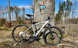 Specialized Rockhopper Custom