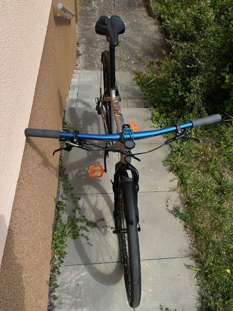 Specialized Rockhopper Custom