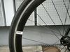 Kolo TRIBE - Singlespeed/Fixie - (54 cm)