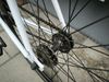 Kolo TRIBE - Singlespeed/Fixie - (54 cm)