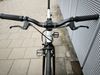 Kolo TRIBE - Singlespeed/Fixie - (54 cm)