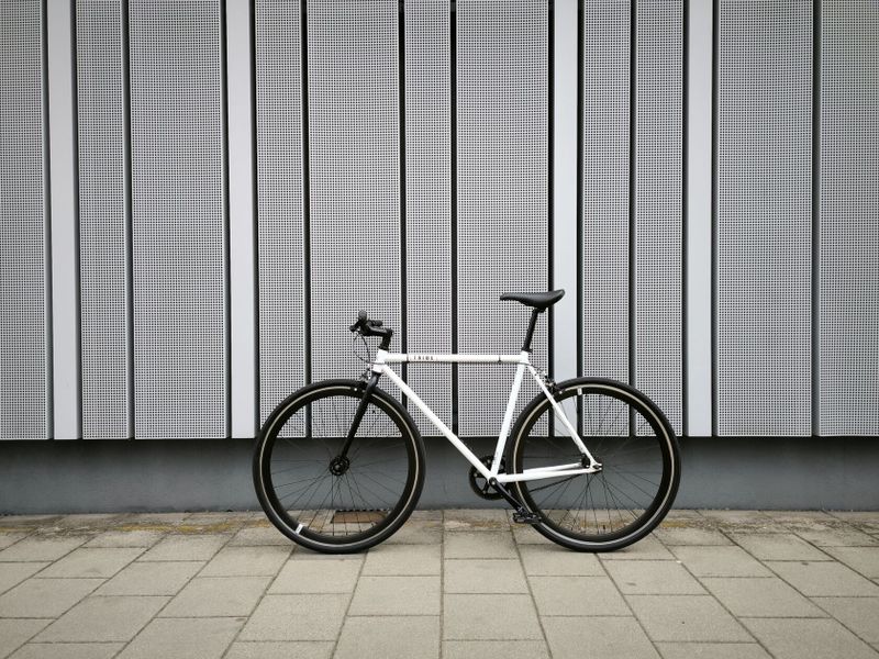 Kolo TRIBE - Singlespeed/Fixie - (54 cm)