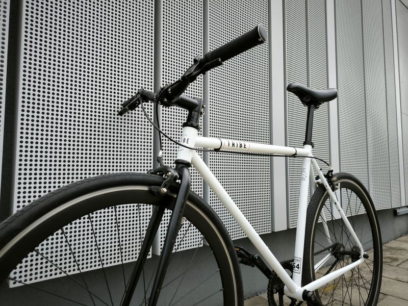 Kolo TRIBE - Singlespeed/Fixie - (54 cm)