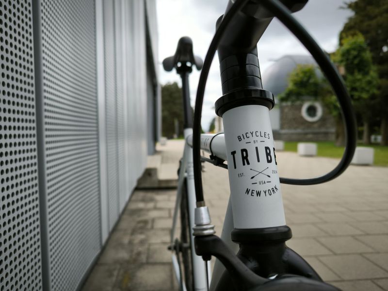 Kolo TRIBE - Singlespeed/Fixie - (54 cm)