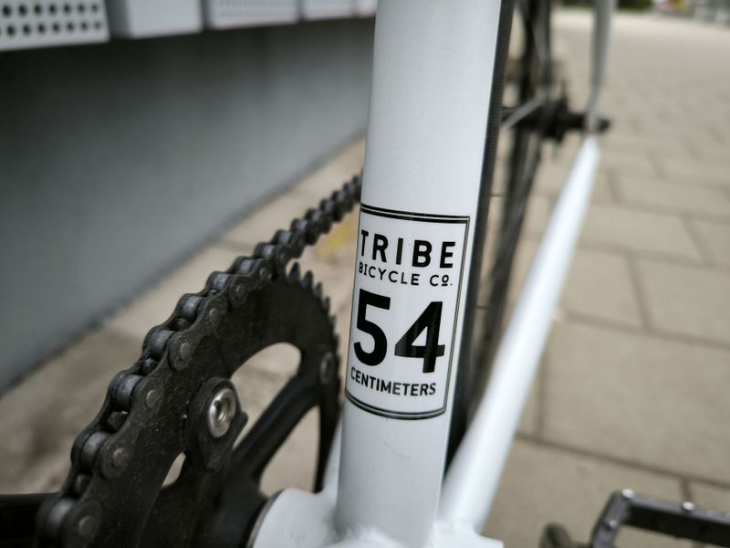 Kolo TRIBE - Singlespeed/Fixie - (54 cm)