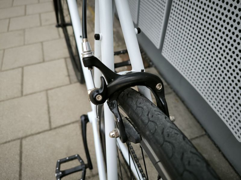 Kolo TRIBE - Singlespeed/Fixie - (54 cm)