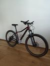 Radon ZR Lady 17"