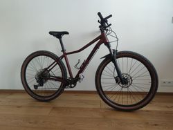 Radon ZR Lady 17"