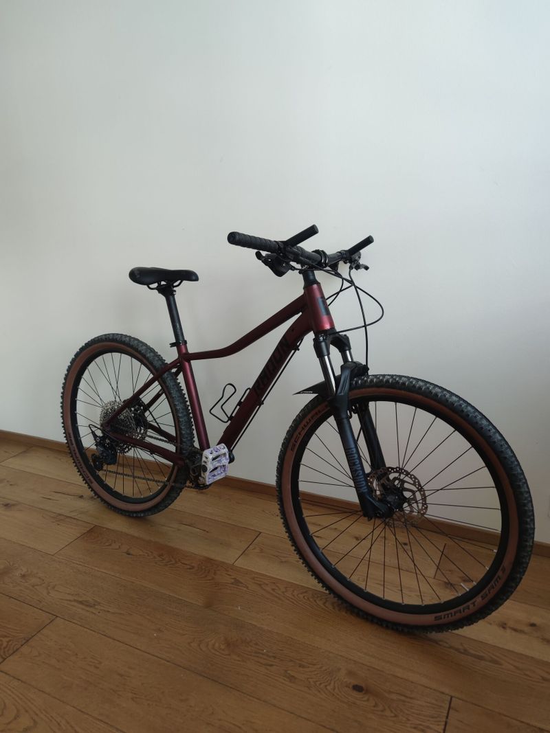 Radon ZR Lady 17"