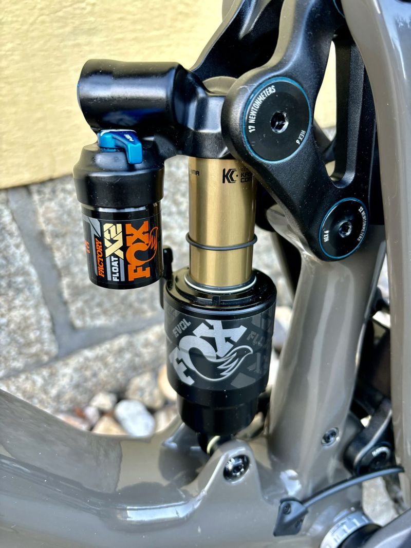 MTB, AM, Enduro, 29”, L