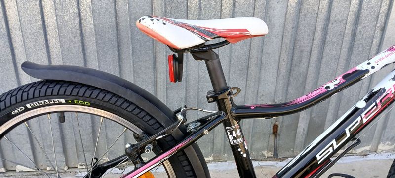 Superior Paint 20"