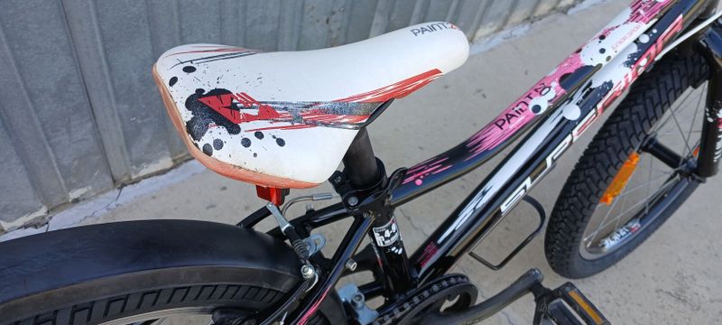 Superior Paint 20"