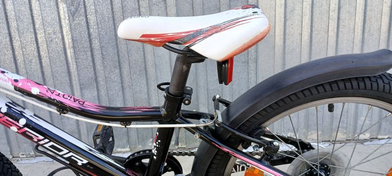 Superior Paint 20"