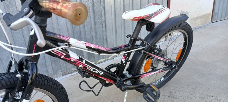 Superior Paint 20"