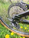 Norco Optic 2023 - Top Stav
