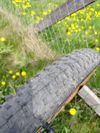 Norco Optic 2023 - Top Stav