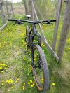 Norco Optic 2023 - Top Stav