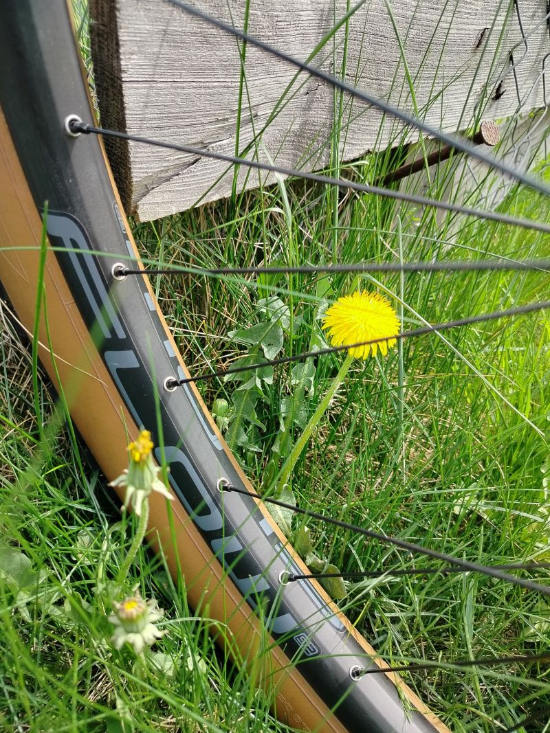 Norco Optic 2023 - Top Stav
