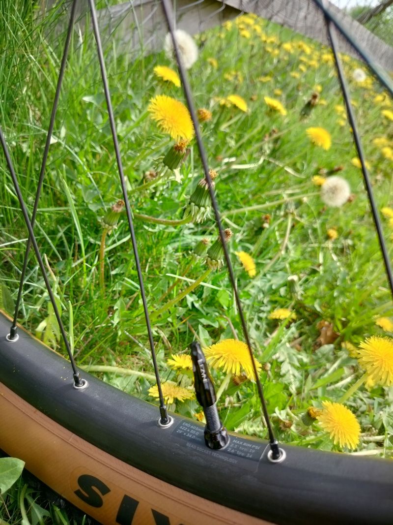 Norco Optic 2023 - Top Stav