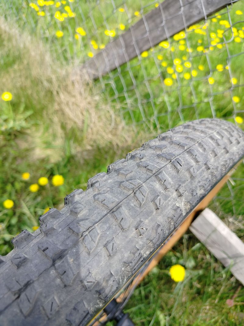 Norco Optic 2023 - Top Stav