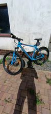 Autor rival 27,5