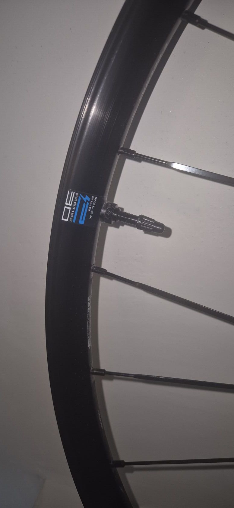 Mavic Deemax Boost 29" vypletené kolo přední