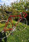 Gitane 
