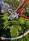Gitane 