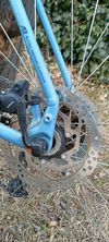 SPECIALIZED Rockhopper Comp 29
