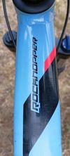 SPECIALIZED Rockhopper Comp 29