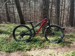 Canyon neuron cf 8 M