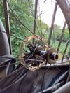 Bontrager Aeolus 51 RSL
