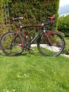 PRODÁM Pinarello Dogma 60.1