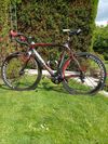 PRODÁM Pinarello Dogma 60.1