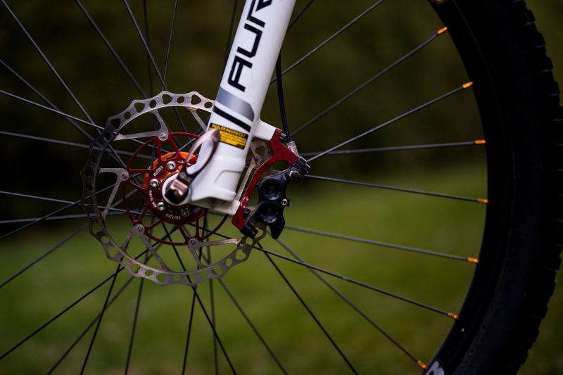 Santa Cruz Tallboy LT 29''