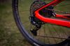 XC Cannondale Scalpel 2019