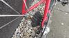 Cinelli
