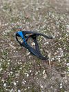 Horské kolo CUBE Aim Race blueberry"n"lime 2021