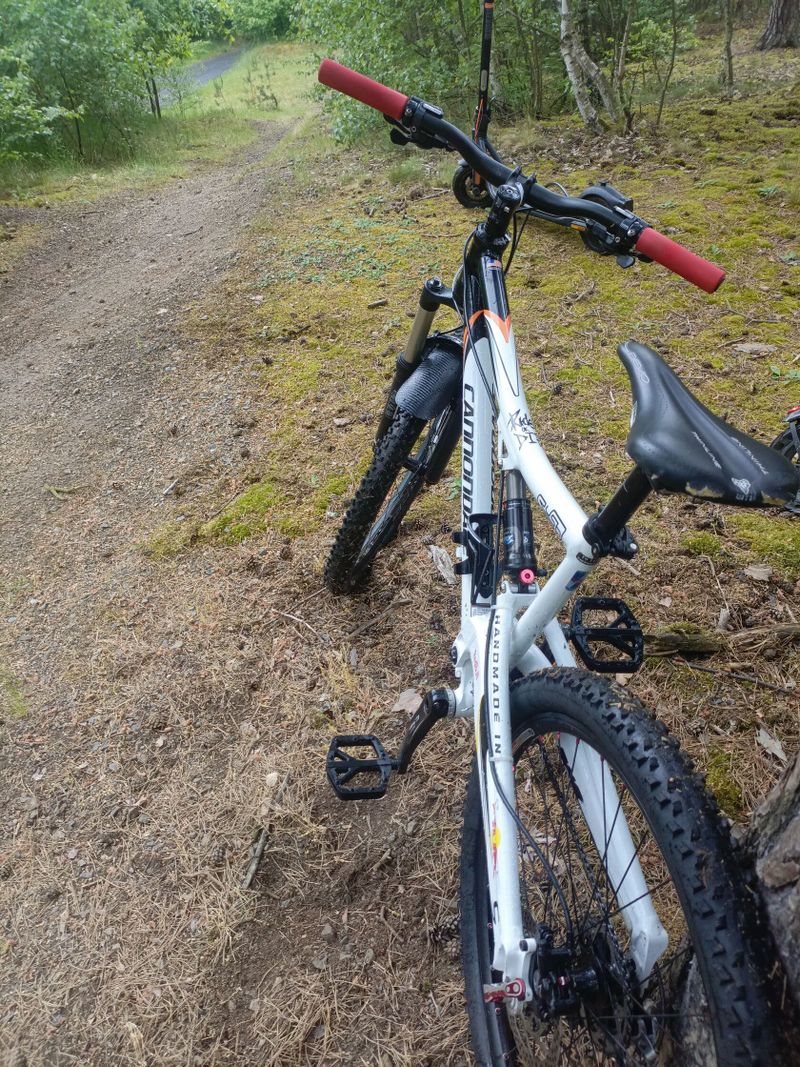 Cannondale Rush 