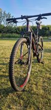 Specialized Epic Comp 29 velikost L